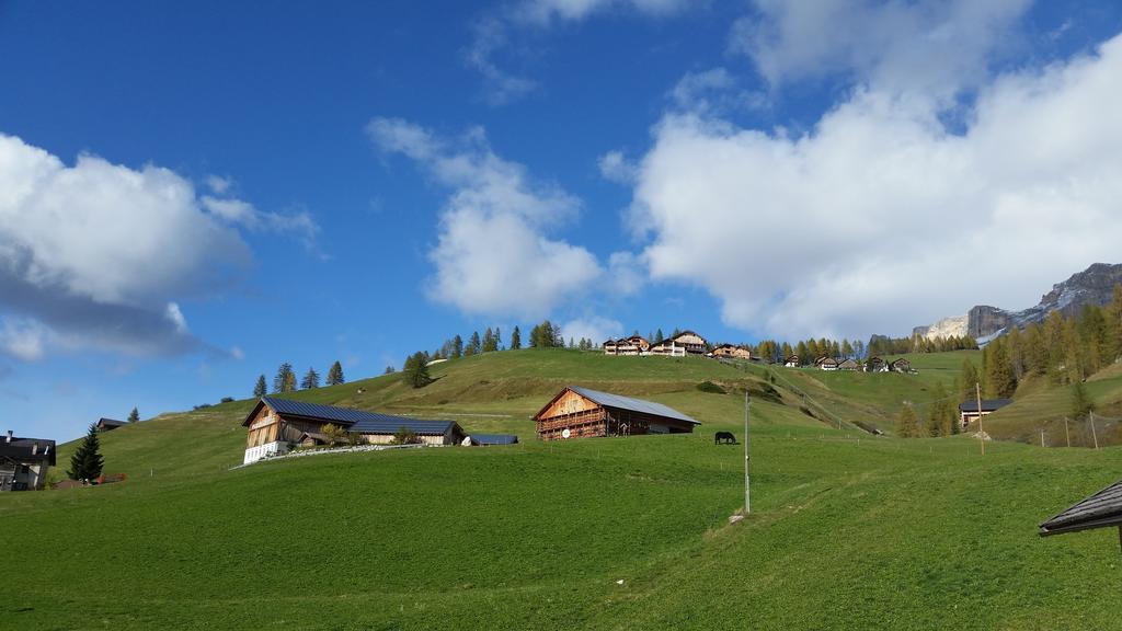 Family And Wellness Residence Ciasa Antersies San Cassiano  Exterior foto